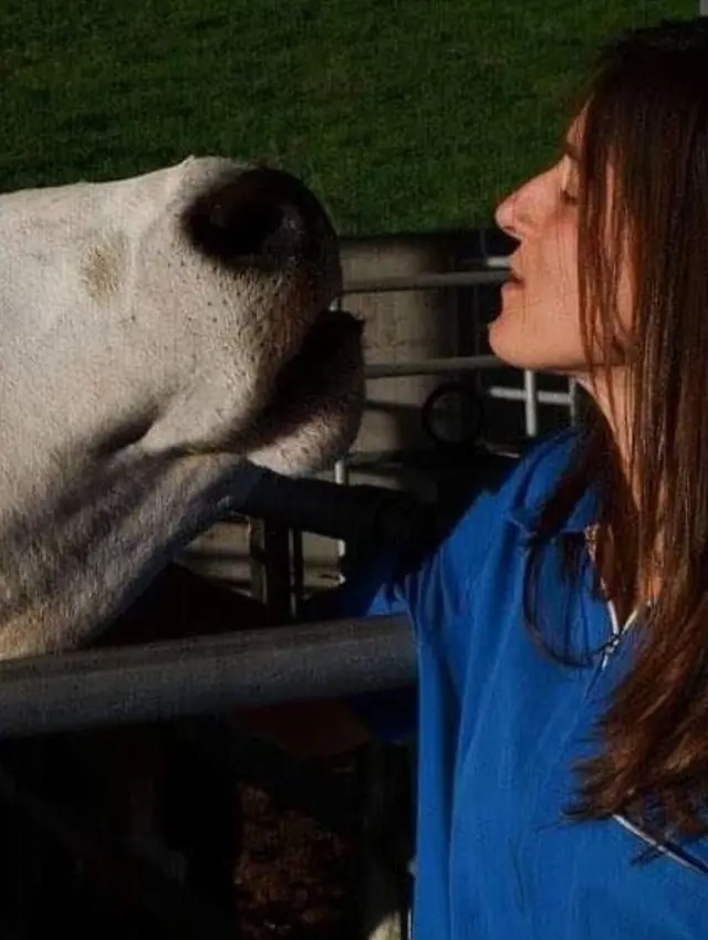 Veterinario