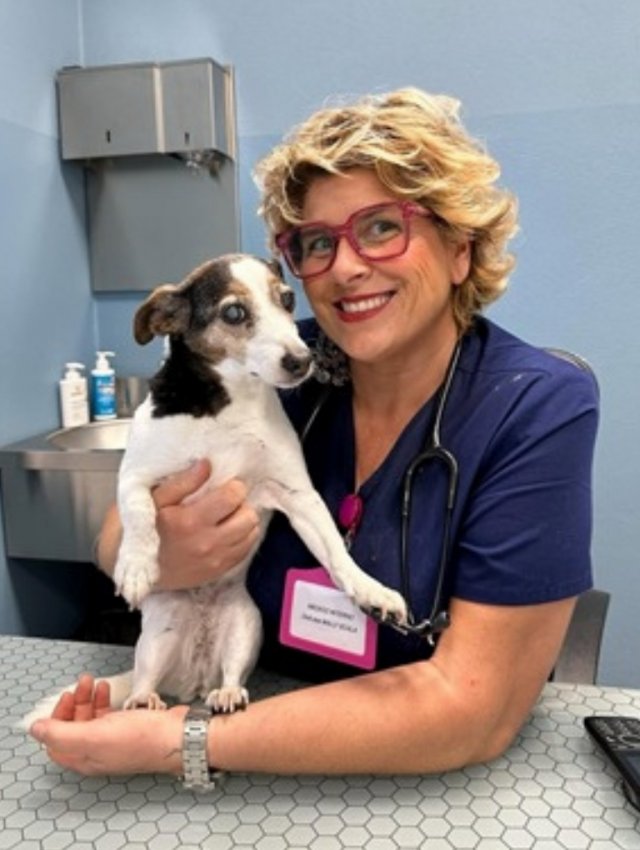 Medico Veterinario